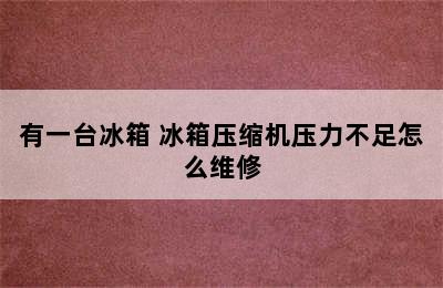 有一台冰箱 冰箱压缩机压力不足怎么维修